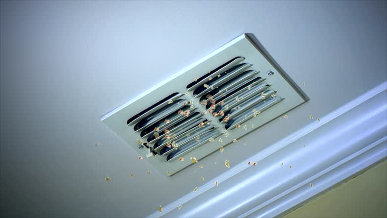 Best Ventilation Cleaning Services  in Live Oak, TX