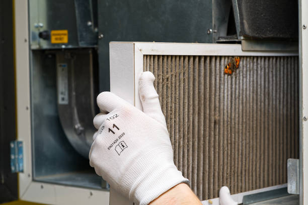 Best Air Quality Test  in Live Oak, TX