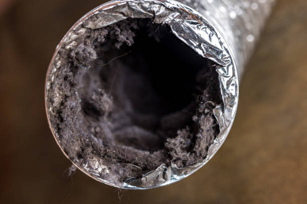 Best Residential Air Duct Cleaning  in Live Oak, TX
