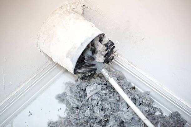 Best Air Duct Cleaning Near Me  in Live Oak, TX